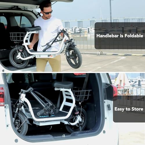 Electric Scooter with Seat, 14" Fat Tire, Foldable S17366