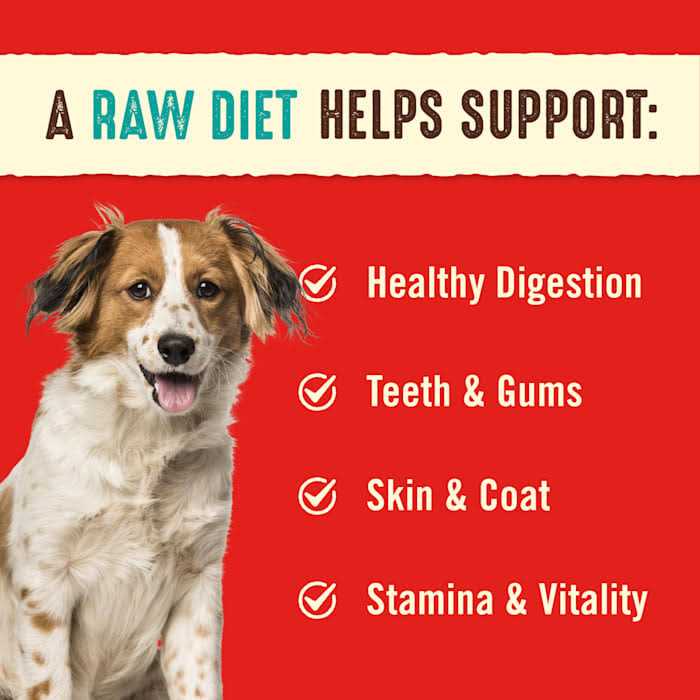Freeze-Dried Dog Food T2571