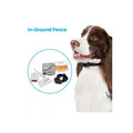 In-Ground Fence System S939954