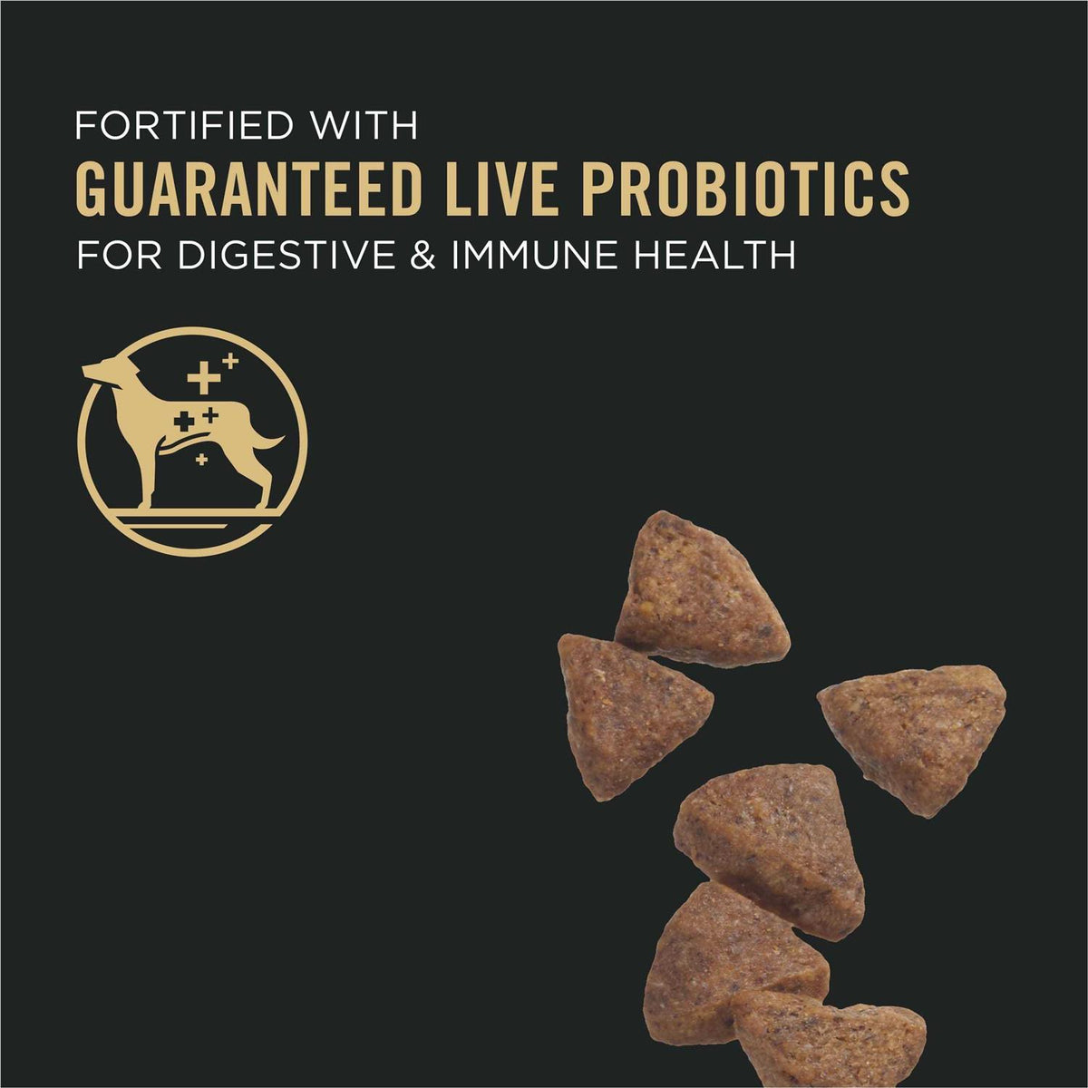 Sensitive Skin & Stomach Dry Dog Food O42677
