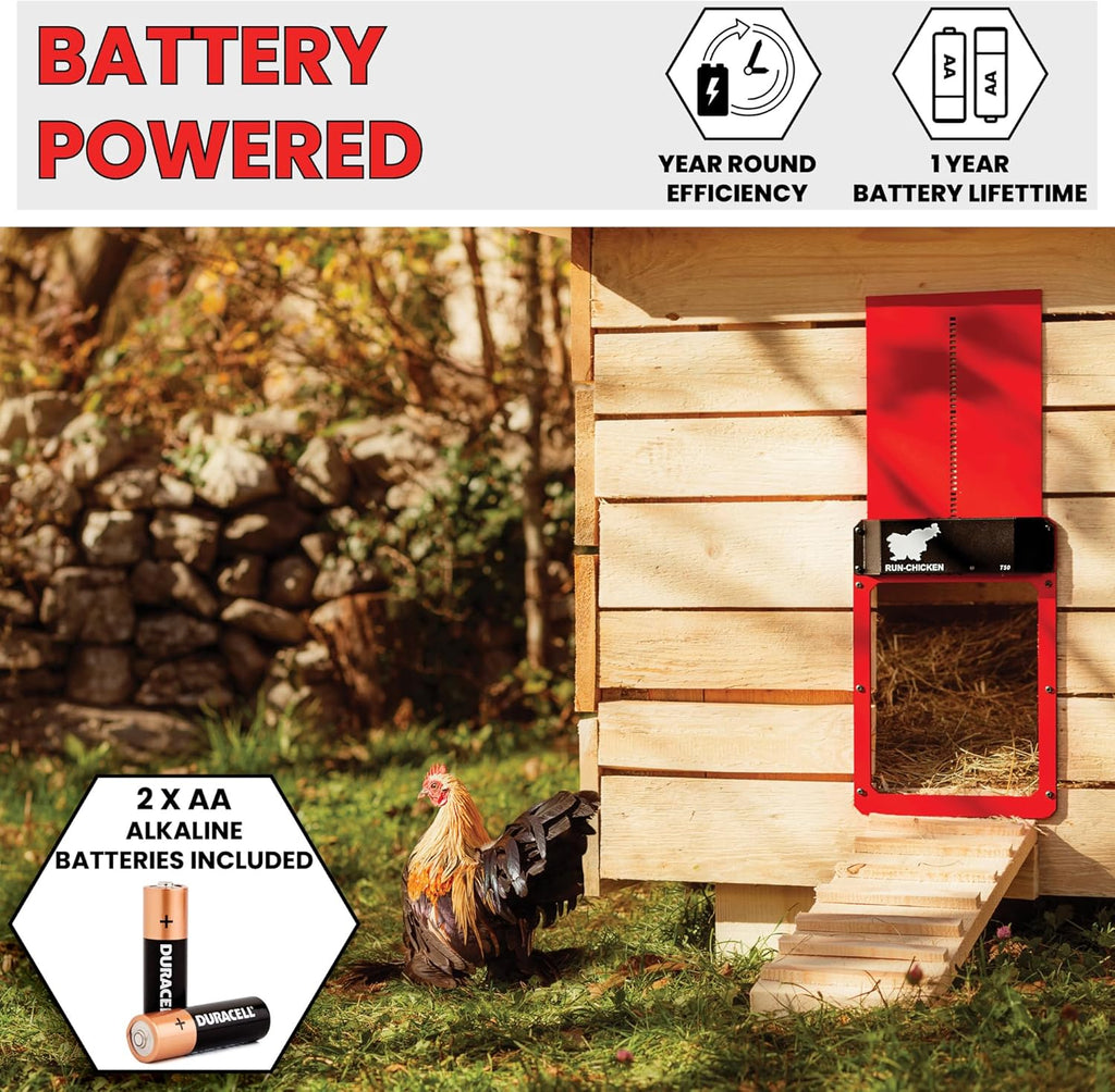 Red Chicken Door B272363