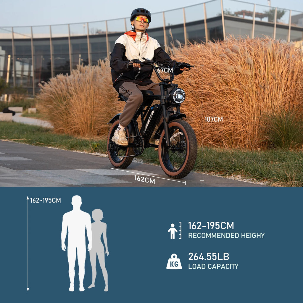 Black 20" 4.0 Fat Tire Electric Bike with 48V 15Ah Battery O426586