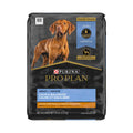 Chicken & Rice Formula Dry Dog Food C5645