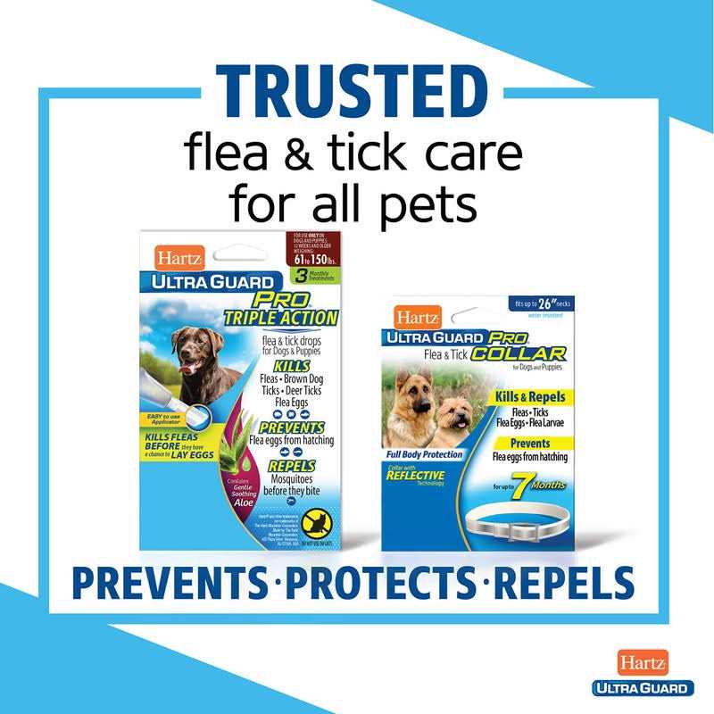 Flea & Tick Prevention For Cats L79094