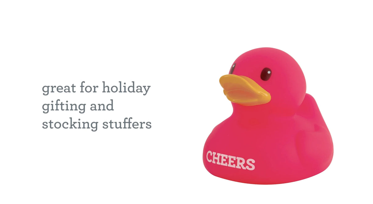 2pk Holiday Ducks H92091