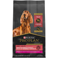 Sensitive Skin & Stomach Dry Dog Food O42677