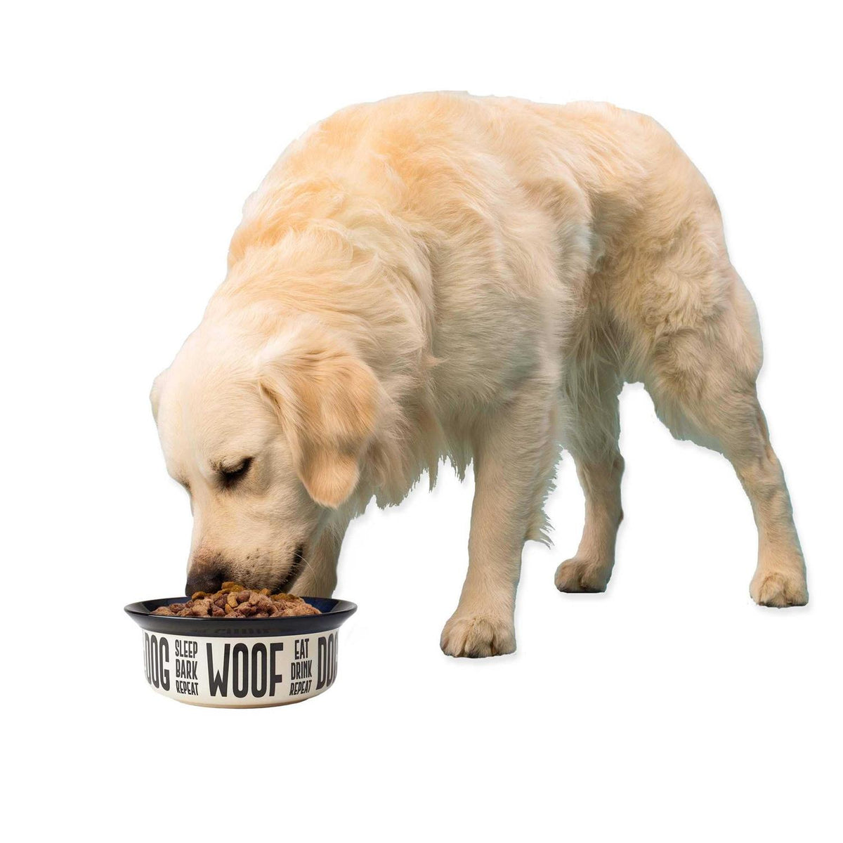 Stoneware Dog Bowl J2111