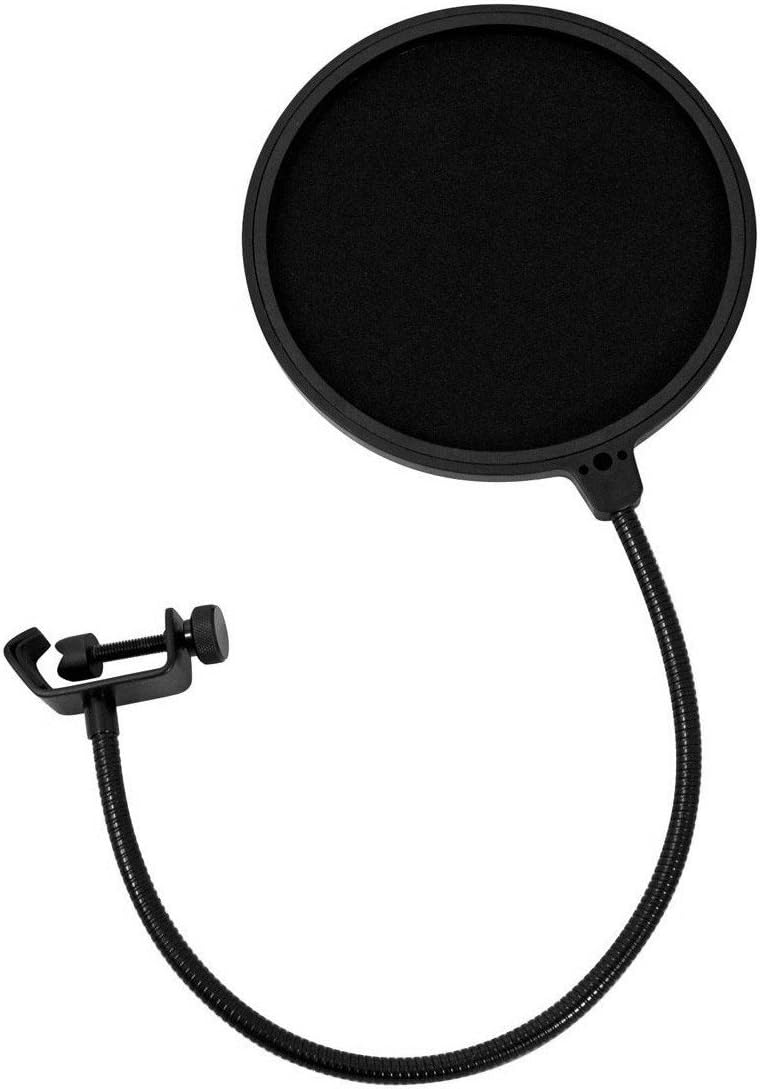 Large Diaphragm Condenser Microphone with Pop Filter and XLR To XLR Cable R252