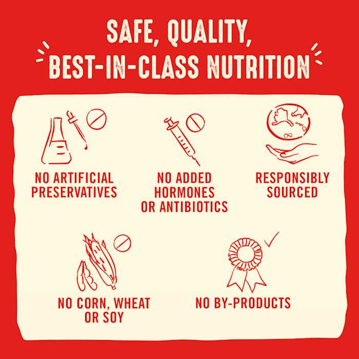 Freeze-Dried Dog Food T2571