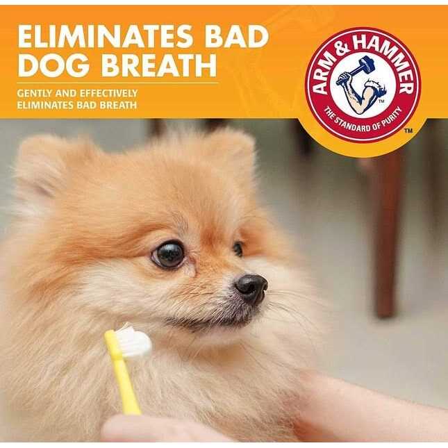 Enzymatic Toothpaste for Dogs P215053