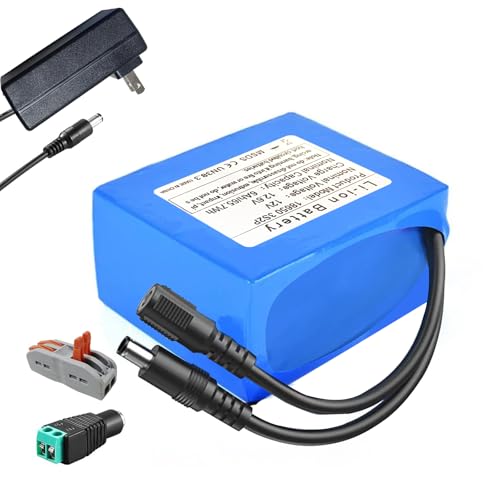 12V 6000mAh Rechargeable Lithium-Ion Battery Pack with Charger R964226