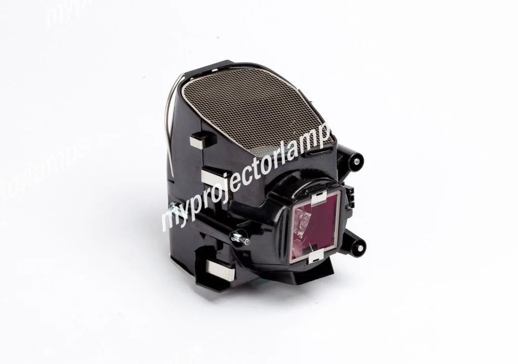 Projector Lamp with Module B787