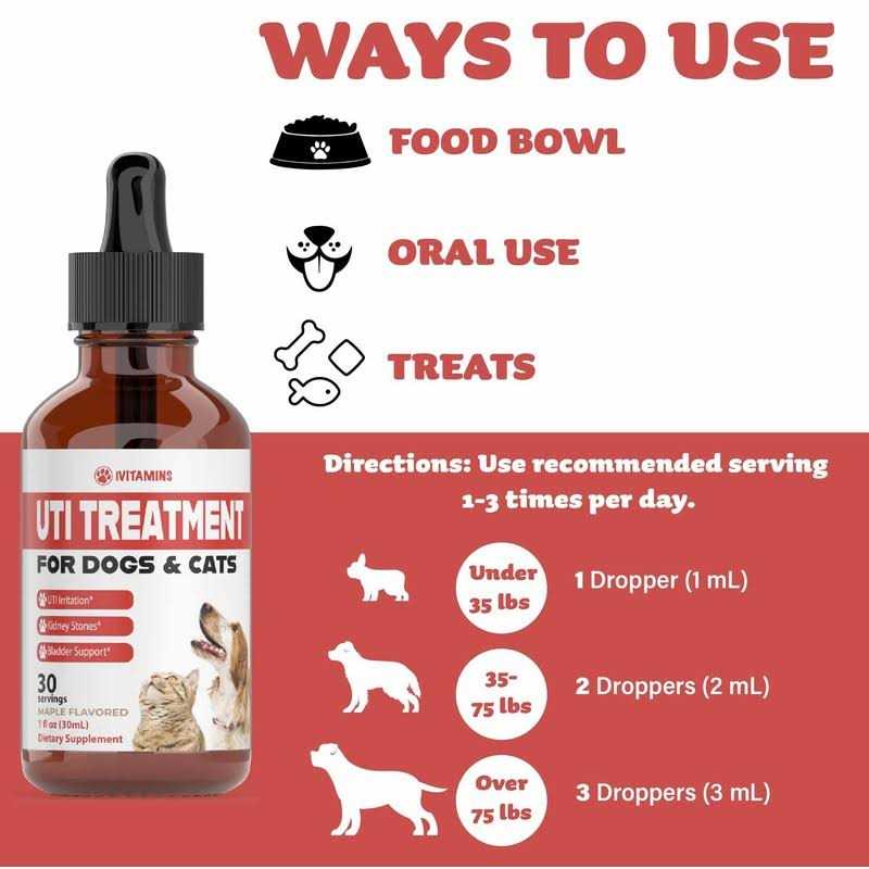 Pumpkin Cranberry Dog UTI Supplement Q76089