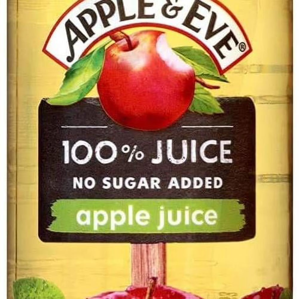 100% Juice Fruit Drink - 24 Pk (10 Oz) C4303