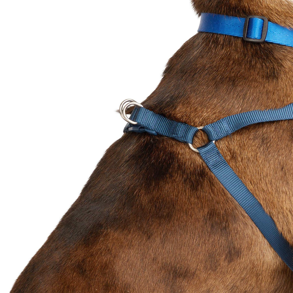 Padded Step-in Dog Harness J902219