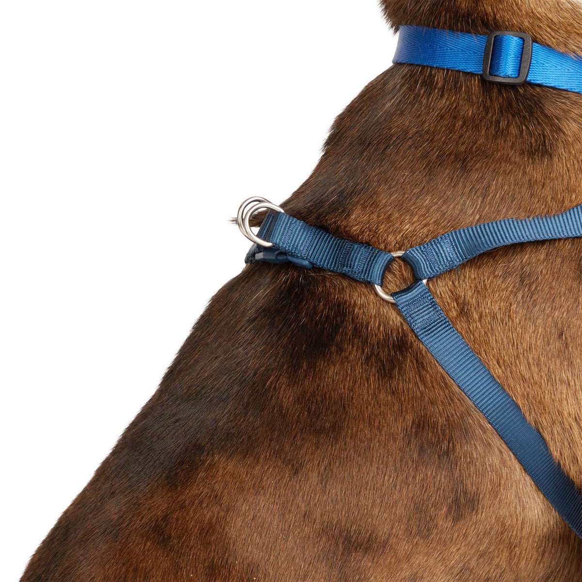 Padded Step-in Dog Harness J902219