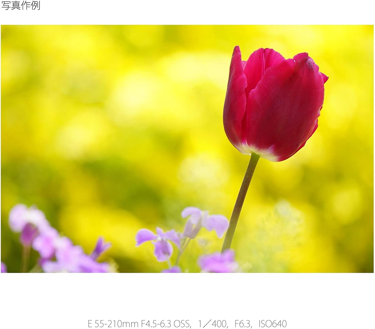 E 55-210mm F4.5-6.3 Lens Black R253