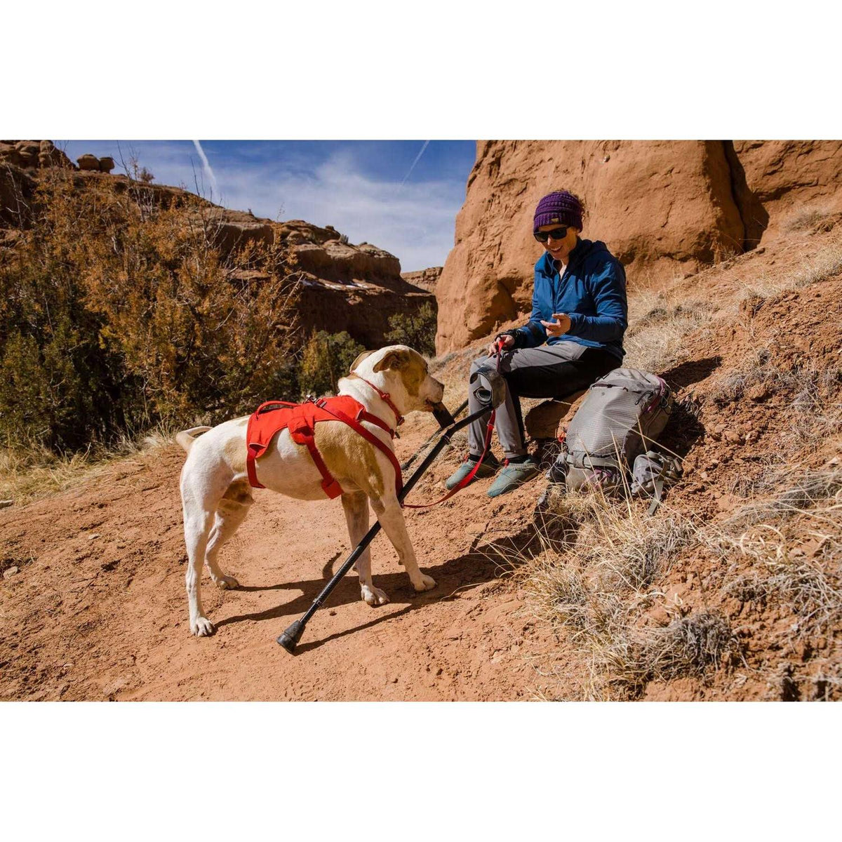 Dog Harness E564
