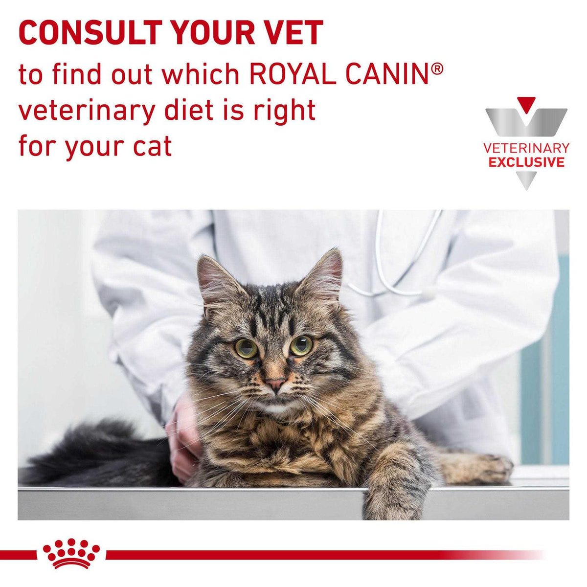 Veterinary Diet Dry Cat Food X3675