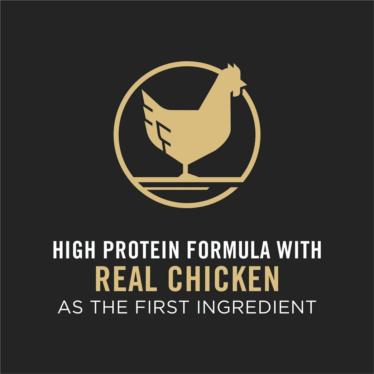 Chicken & Rice Formula Dry Dog Food C5645
