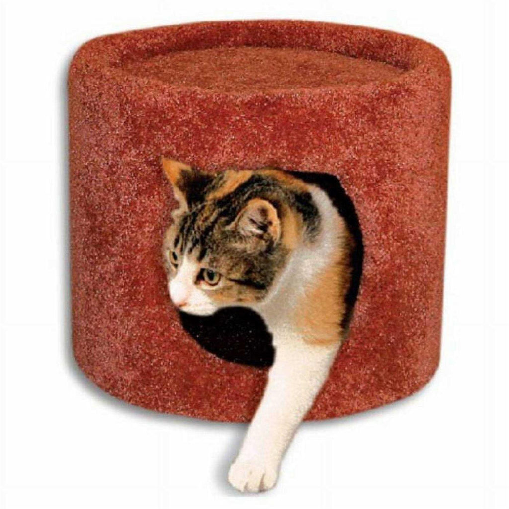 Cat Condo B630256