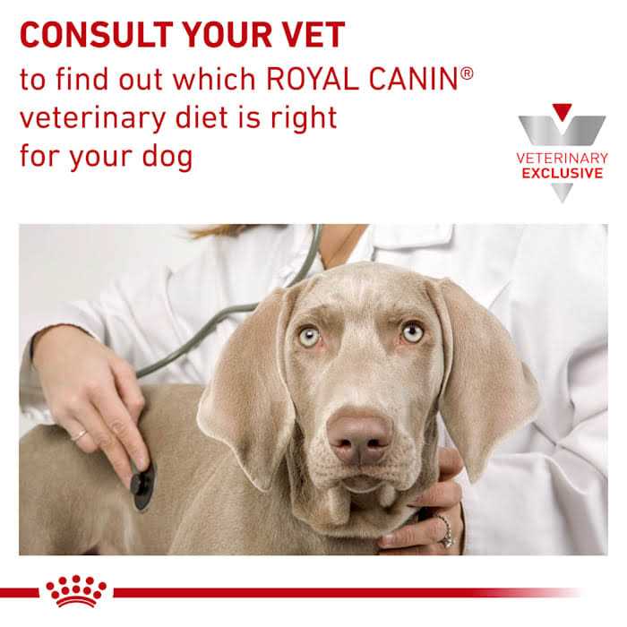 Veterinary Diet Hepatic Canned Dog Food T58373