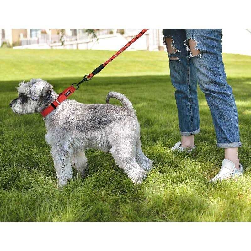 2 Packs Martingale Dog Collar with Quick Release Buckle Reflective N146