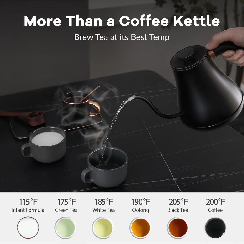 Electric Gooseneck Kettle 0.8L 1200W Matt Black D3607