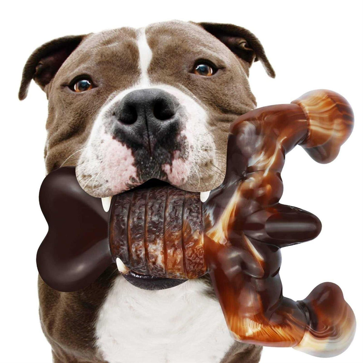 Real Bacon Flavored Tough Dog Bone Chew Toy E306