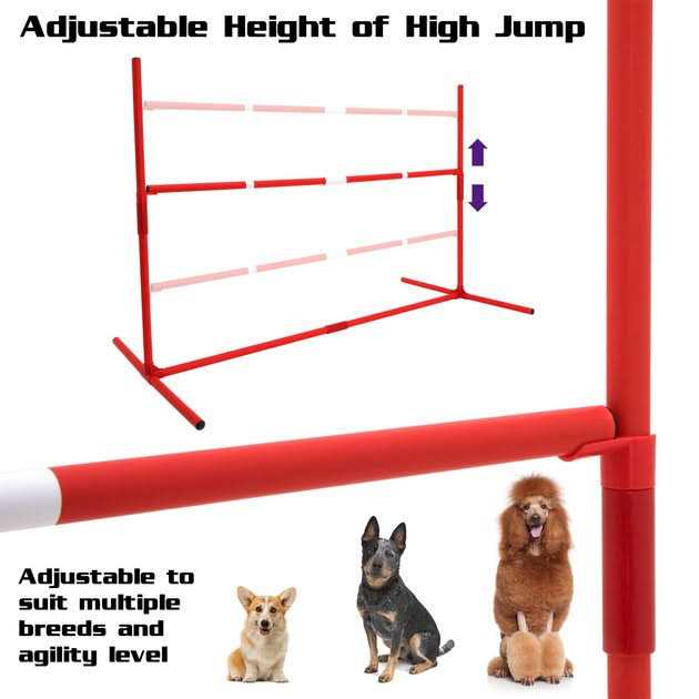 6 Piece Agility Kit K8047