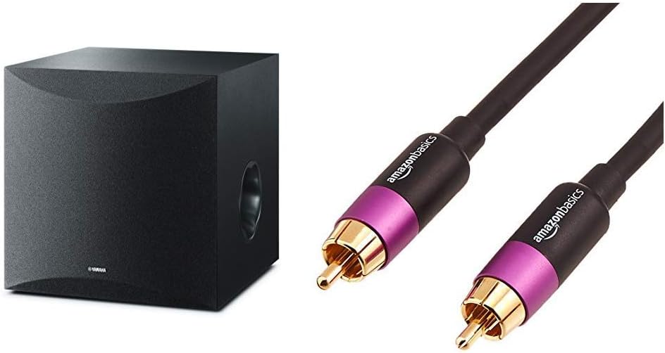 10" 100W Powered Subwoofer Black T1158