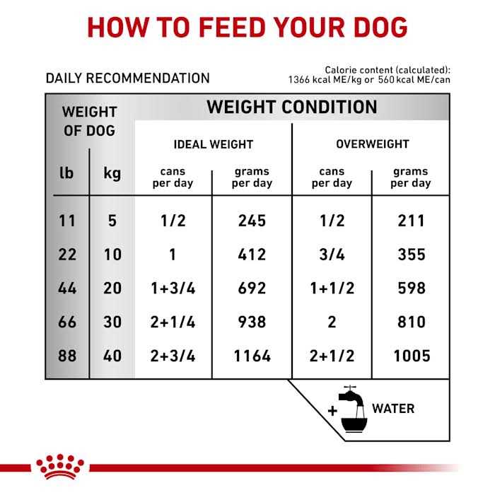 Veterinary Diet Hepatic Canned Dog Food T58373