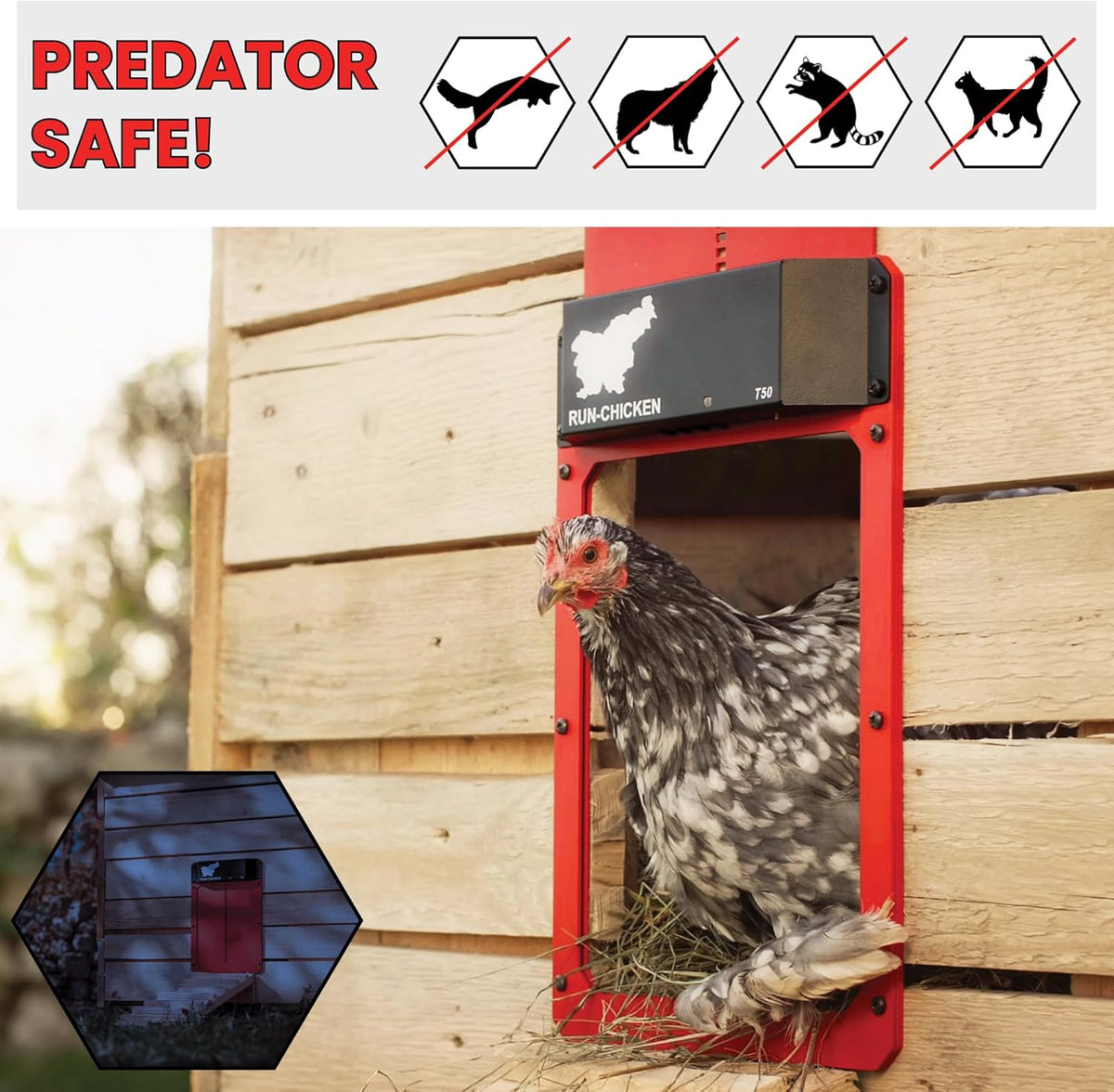 Red Chicken Door B272363