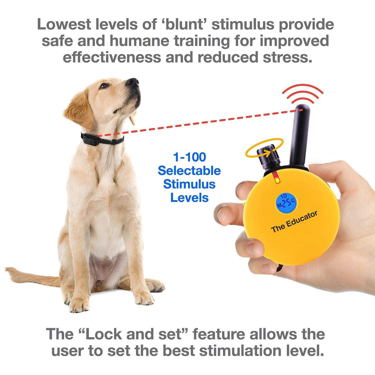 Remote Dog Training Collar C513