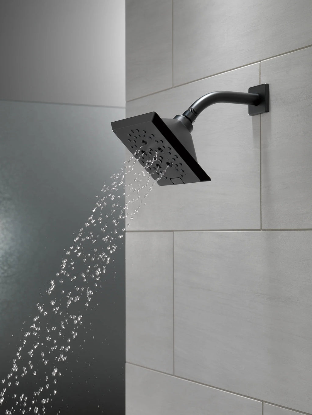 5-Setting Raincan Shower Head Z965