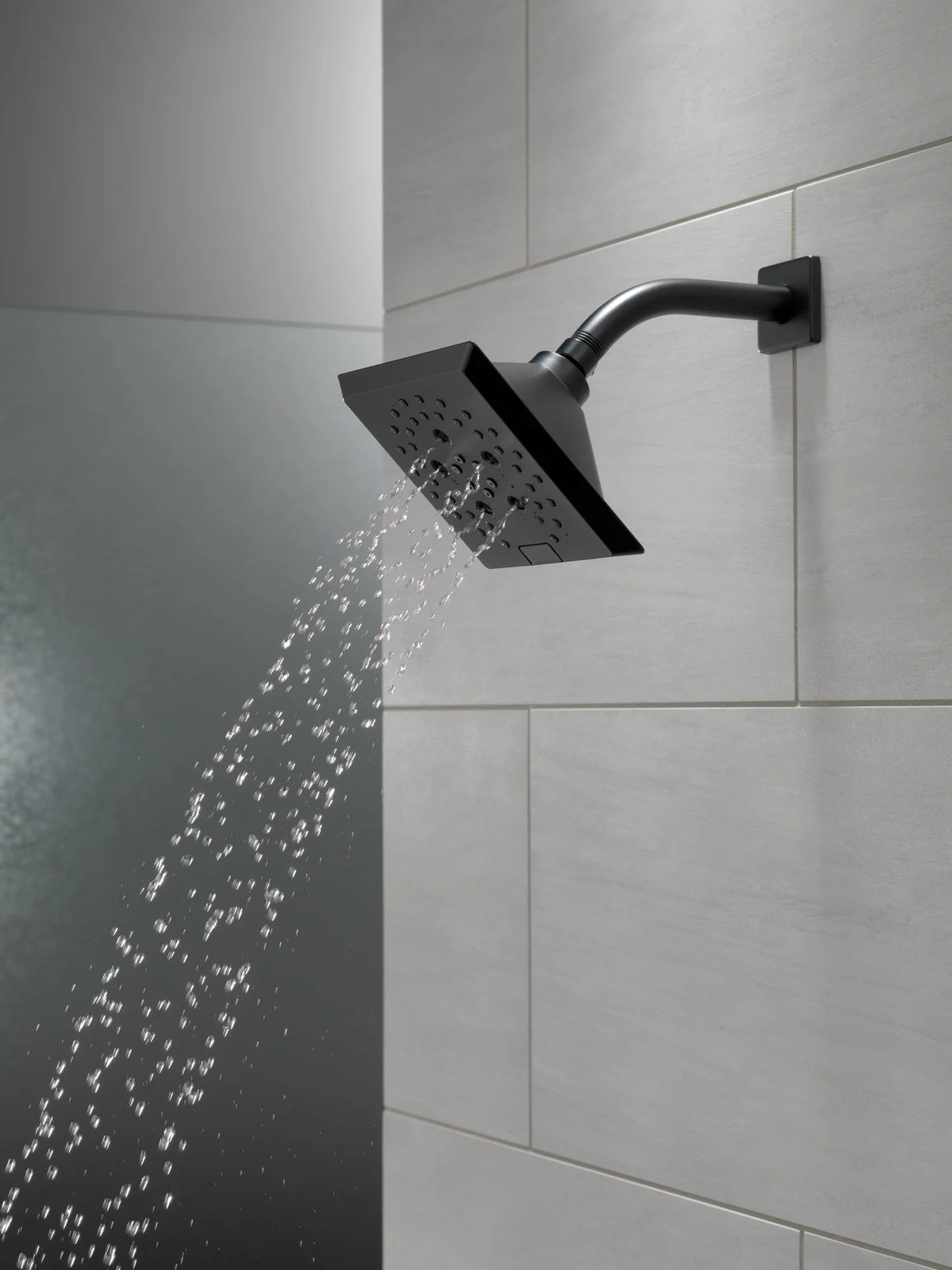 5-Setting Raincan Shower Head Z965