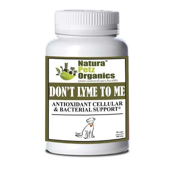 Antioxidant Cellular & Bacterial Support Capsules A126