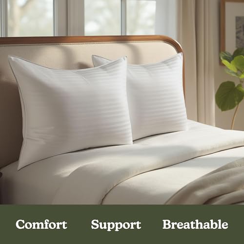 Down Alternative Cotton King Size Set of 2 Bed Pillows V539