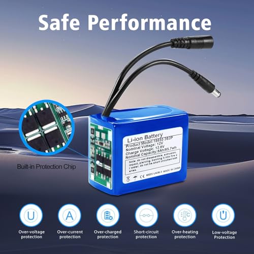12V 6000mAh Rechargeable Lithium-Ion Battery Pack with Charger R964226