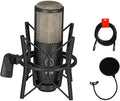 Large Diaphragm Condenser Microphone with Pop Filter and XLR To XLR Cable R252