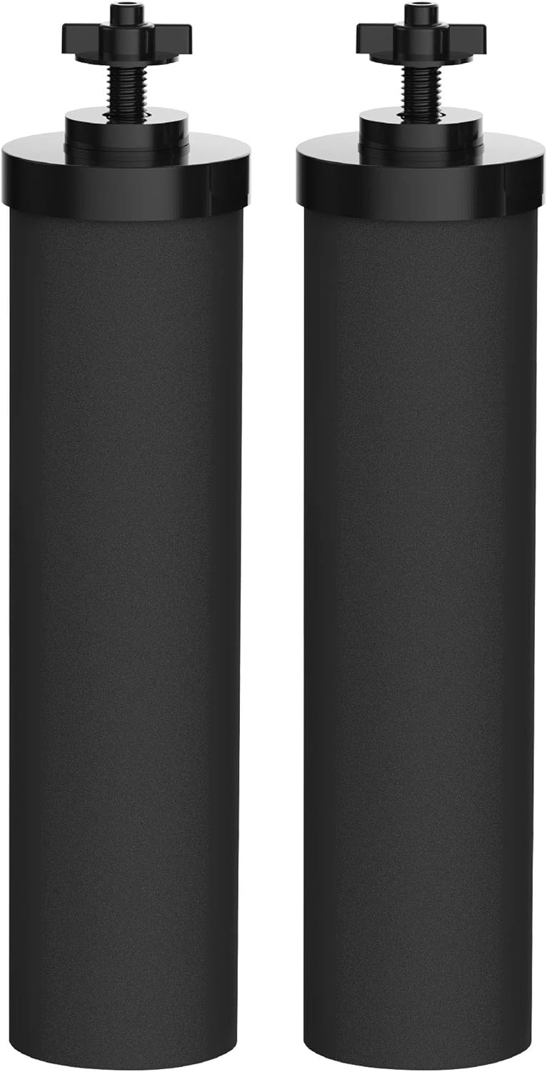 Black Water Filter, Pack of 2 D15964