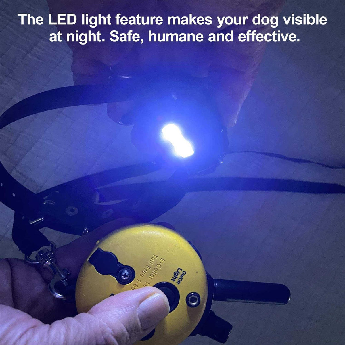 Remote Dog Training Collar C513