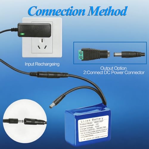 12V 6000mAh Rechargeable Lithium-Ion Battery Pack with Charger R964226