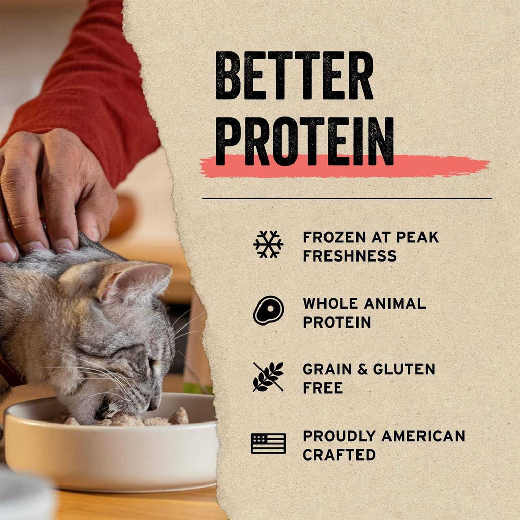 Freeze-Dried Rabbit Bites Cat Treats X108