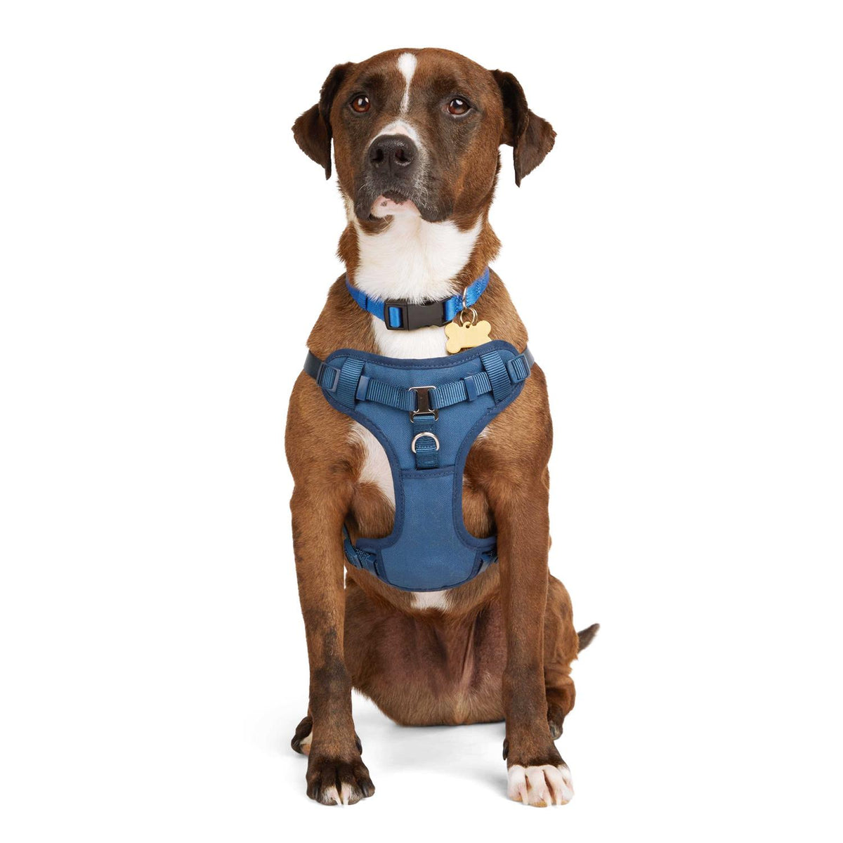 Padded Step-in Dog Harness J902219