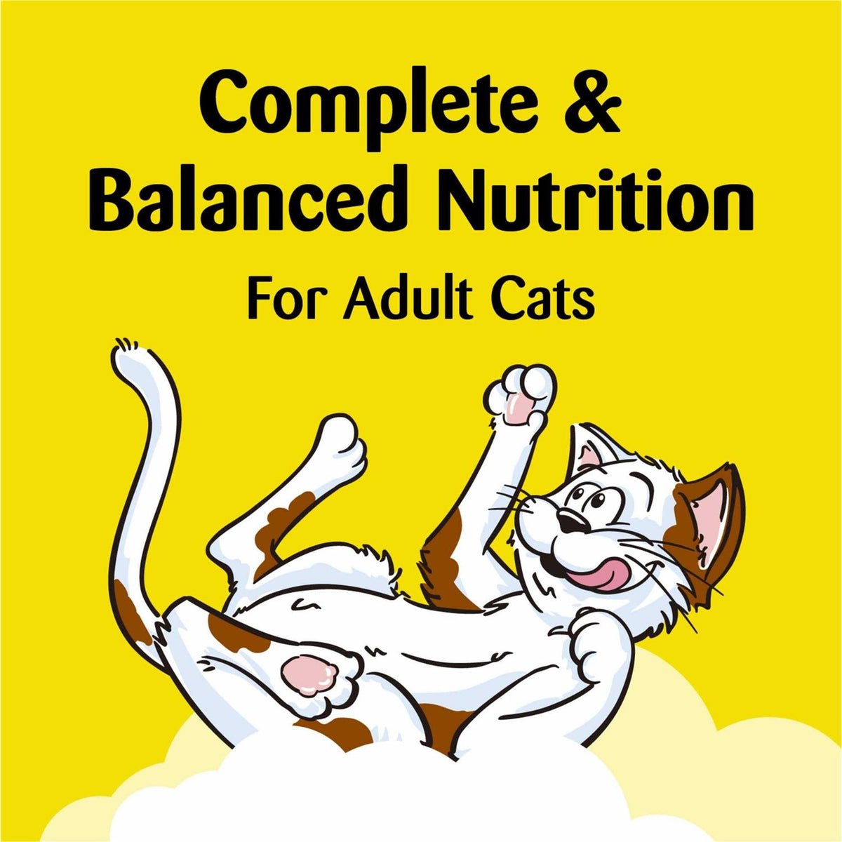 Salmon Flavor Cat Treats F305109