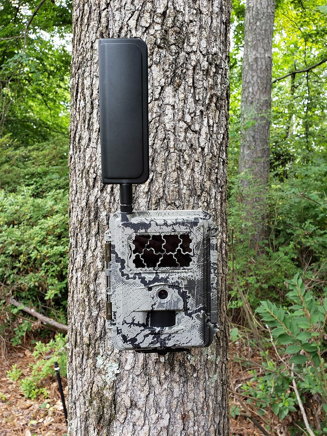 Verizon 4G LTE Wireless Trail Camera with Batteries, SD Card, Card Reader, and Mount I172