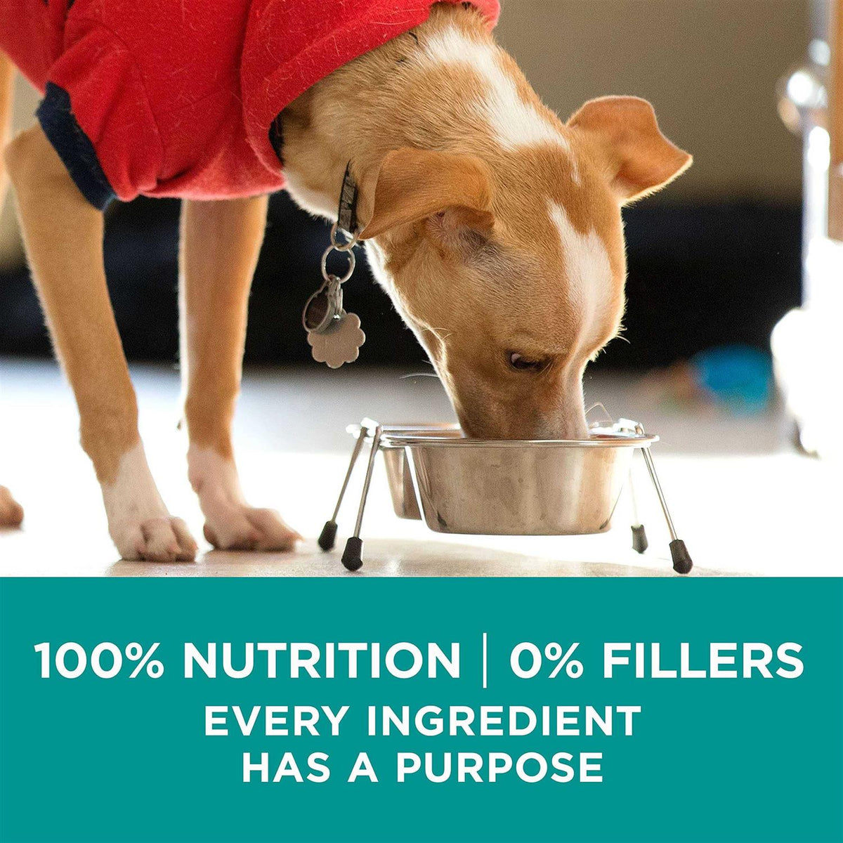 Dry Dog Food D7016