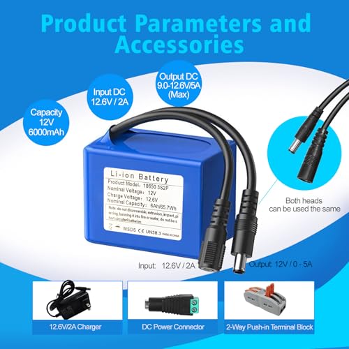 12V 6000mAh Rechargeable Lithium-Ion Battery Pack with Charger R964226