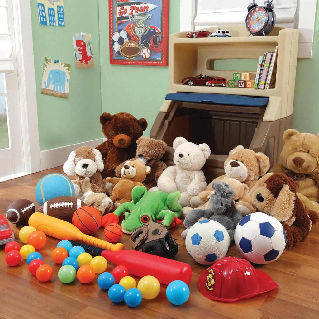 Brown and Blue Plastic Toddler Bookcase and Toy Box M780